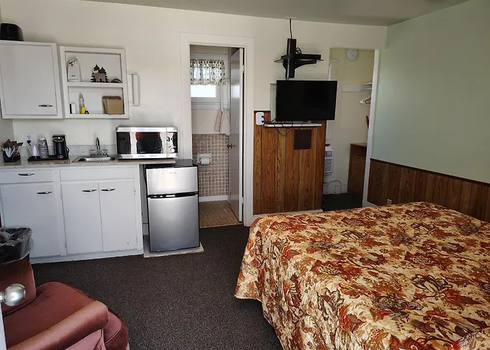Motel Paintbrush 2*