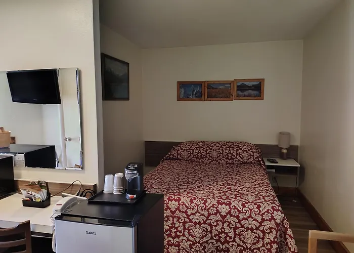 Motel Paintbrush
