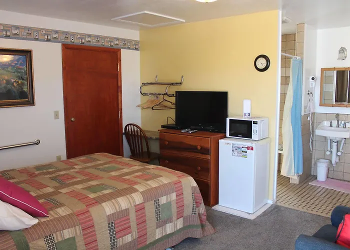 Motel Paintbrush 2*