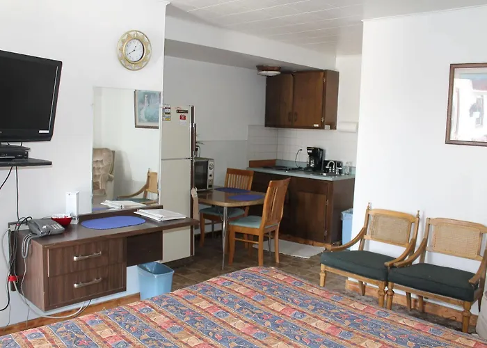 Motel Paintbrush 2*